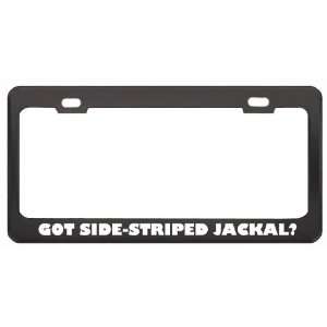 Got Side Striped Jackal? Animals Pets Black Metal License Plate Frame 