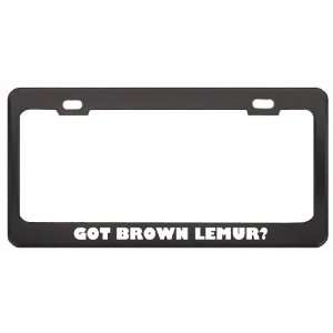 Got Brown Lemur? Animals Pets Black Metal License Plate Frame Holder 