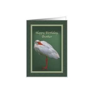  Birthday, Brother, White Ibis Bird Card Health & Personal 