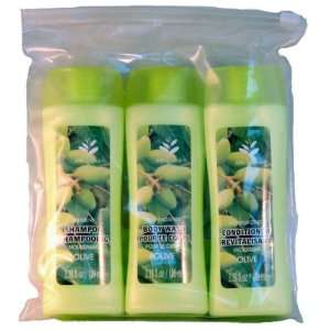  Olive Shampoo / Conditioner /Body Wash Travel Pack Case 