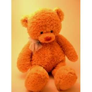   Baby Gund Cuddly Pals Big Bundles Lovey 15 Teddy Bear: Toys & Games