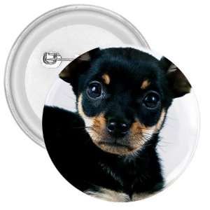 Miniature Pinscher Puppy Dog 3in Button E0728
