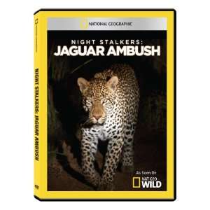   Geographic Night Stalkers Jaguar Ambush DVD R 