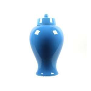   21088 / 21089 Light Blue Kyra Ceramic Jar with Lid: Kitchen & Dining