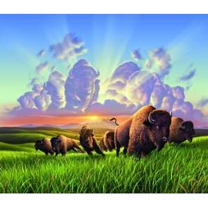  Bison 550pc Jigsaw Puzzle by Jerry LoFaro: Toys & Games