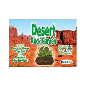    Desert Rock Garden Grow From Seed Indoor Plant 