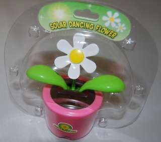 Solar Dancing Daisy Flower ~ Pink ~ CUTE! ~ Great Gift  