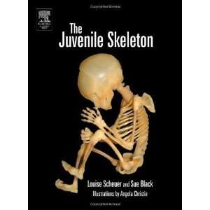  The Juvenile Skeleton [Hardcover] Louise Scheuer Books