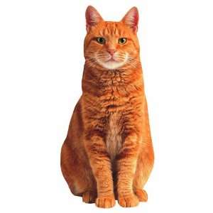  Paper House Diecut Card Red Tabby Cat (3 Pack) Pet 