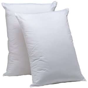  Hot Water Washable Allergy Pillow, Standard, Medium
