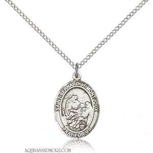 St. Bernard of Montjoux Medium Sterling Silver Medal