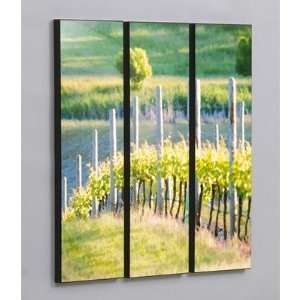  Three Piece Rows of Vineyard Grapes Laminated Framed Wall 
