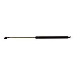  Avm Ind 95888 Lift Support Automotive