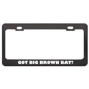Got Big Brown Bat? Animals Pets Black Metal License Plate Frame Holder 