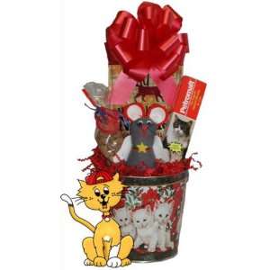 Kitty Holiday Pail  Basket Theme GET WELL SOON  Bow Style Elegant 