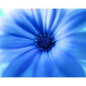  Blue Nebula, Limited Edition Photograph, Home Decor 