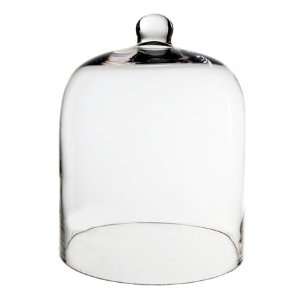  Glass Cloche Bell or Plant Terrarium. 10.25 H (1 pc 