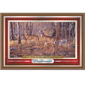   : Budweiser Wildlife Series Mirror   Whitetail Deer: Office Products