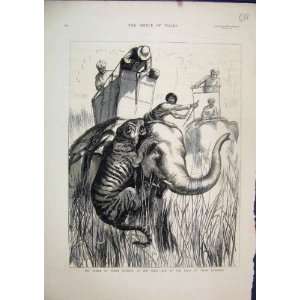  Prince Wales Elephant Tiger Hunting Terai 1876 Sketch: Home & Kitchen