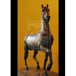  Bronze Horse Florence