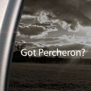  Got Percheron? Decal Horse Breed Pony Window Sticker 