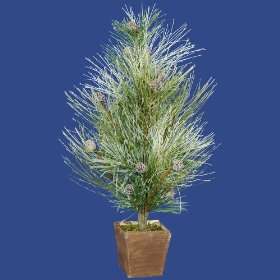   26 Icy Sage Pine Christmas Tree in Brown Pot   Unlit: Home & Kitchen