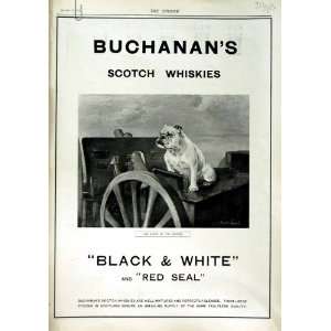  1916 BUCHANAN WHISKY MELLINS FOOD WARING GILLOW FUR