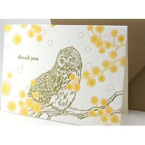  owl thank you letterpress boxed note cards Health 