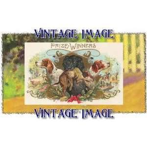   ) Art Greetings Card Dogs Prize Winners Vintage Image: Home & Kitchen