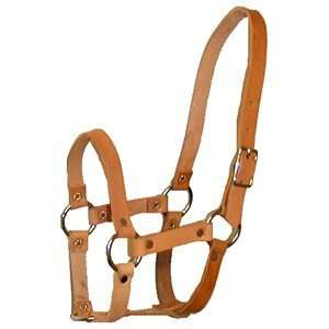  Baby Suckling Halter: Sports & Outdoors