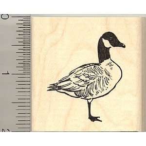  Canadian Goose Rubber Stamp   Wood Mounted Arts, Crafts 