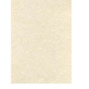  Canson Classic Cream Drawing Paper Sheets 18 in. x 24 in 