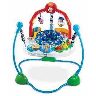 Fisher Price Laugh and Learn Jumperoo ~ Fisher Price