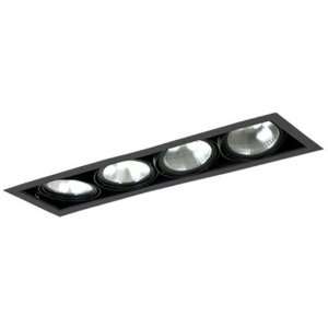   Remodeling, Double Gimbal PAR38 4 Light Square, Black Interior With