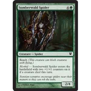    the Gathering   Somberwald Spider   Innistrad   Foil Toys & Games