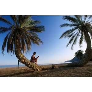  Tourist Reading Book While Sitting on Palm Tree Trunk on 