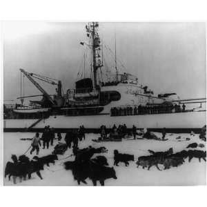  Eskimos,dog team,sled,equipment,hydrographic mission,Coast 