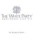 white party continuous club mix by dj david knapp cd