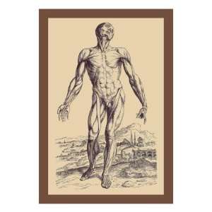   Second Plate of the Muscles by Andreas Vesalius, 24x32: Home & Kitchen