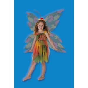  Amber Woodland Fairy 4 6