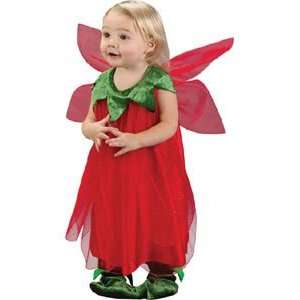  Toddler Strawberry Fairy Costume: Toys & Games