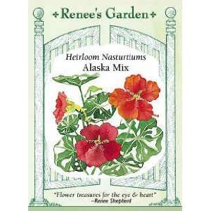  Heirloom Nasturtium Seeds   Alaska Mix Patio, Lawn 