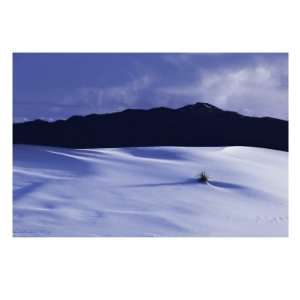  White Sands And San Andres Mountain Range N M Photographic 