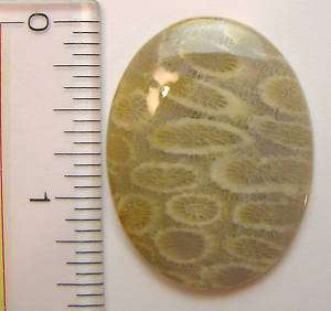This auction is for one oval shape Agatized Fossil Coral cabochon from 
