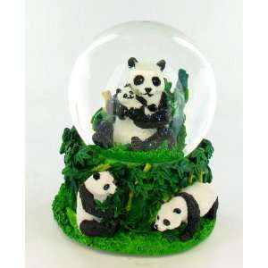    Panda Bear Bamboo Musical Snow Globe Water Ball: Home & Kitchen