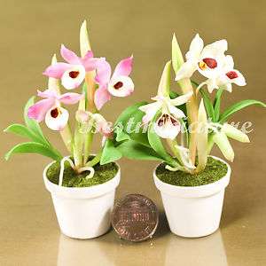 Dendrobium Nobile Miniature Clay Flower w pot Plant Garden Wedding 