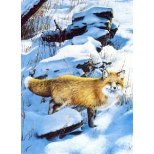  Ron Van Gilder   Winter Wood   Red Fox