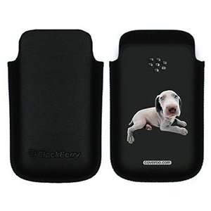  Weimaraner Puppy on BlackBerry Leather Pocket Case 