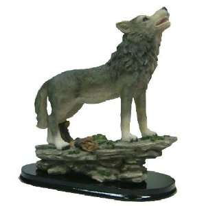  Natural Looking Wolf On Rock