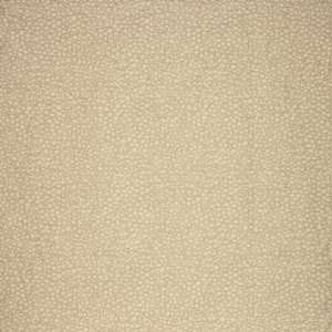  River Rock   White Gold Indoor Upholstery Fabric: Arts 
